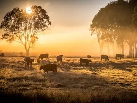 ESTANCIA armada, con instalaciones completas