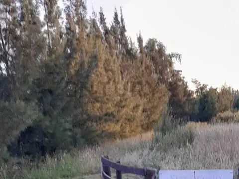 Campo en Venta de 1,50  ha