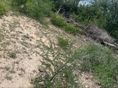 Terreno en Venta de 5000000,0 m2