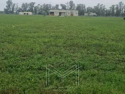 Terreno en Venta de 1000,0 m2