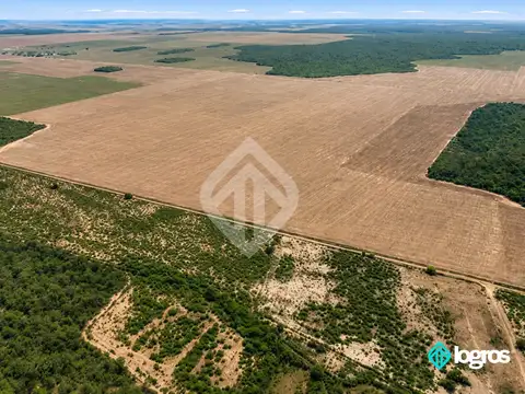 Campo Mixto en venta de 2080 ha | Los Pirpintos | Santiago del Estero