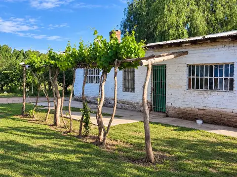 FINCA PRODUCTIVA EN VENTA + CASA RURAL Y GALPON