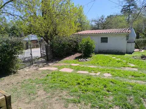 San Marcelino Champagnat 100