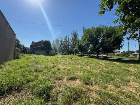 50 Y 37