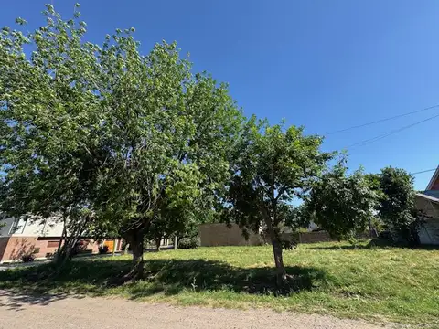 50 Y 37