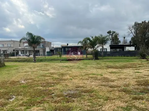 Santa Elena 100