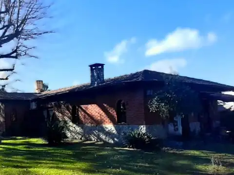 El León 200