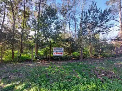 Lote En Venta En El Carmencito