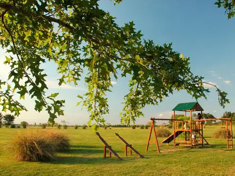 Terreno en Venta 19  mts Frente