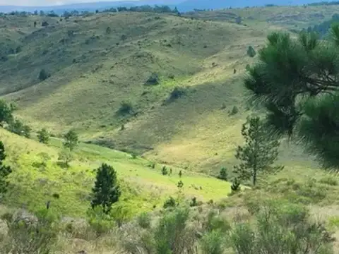 Yacanto de Calamuchita