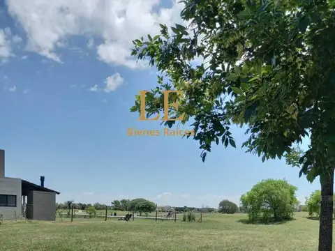 Terreno en Venta 40  mts Frente