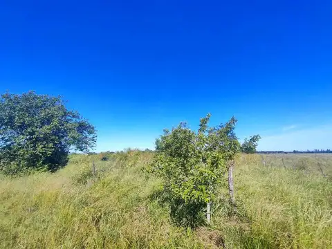 Ruta 6