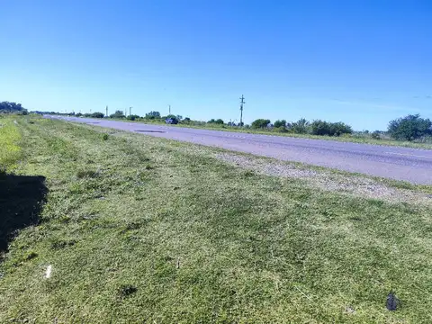Ruta 6