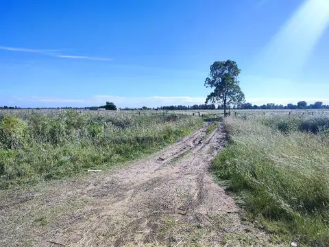 Hermosa Fracion en Ruta 6 Marcos Paz