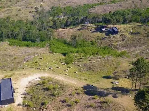 Terreno en Venta de 10107,0 m2