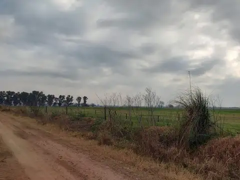 Ruta Provincial 3 100