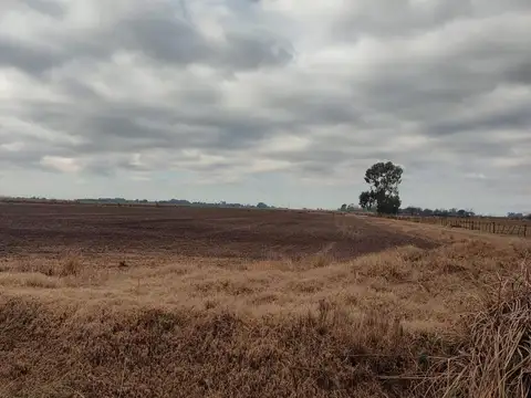 Campo de 430 Has en Marcos Paz / La Matanza – Con Mejoras