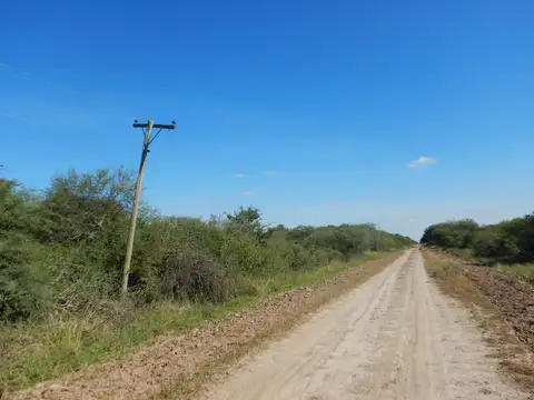 Campo en Venta de 1.039  ha