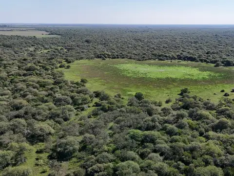 1039 hectáreas ganaderas Aguará Grande San Cristóbal Santa Fe