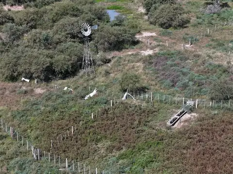 Campo en Venta con Alambrado