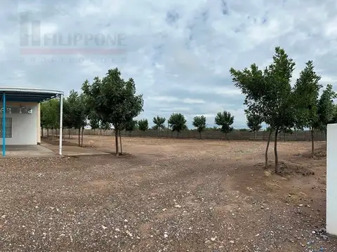 Acceso a la Adela 100