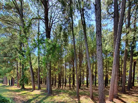 Terreno en Venta de 2088,0 m2