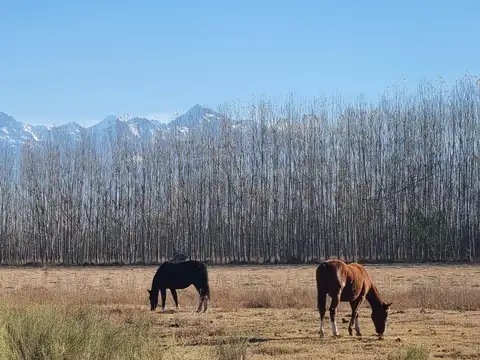 Terreno en Totoral