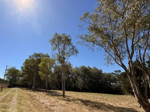Parque Las Naciones, Ruta 210