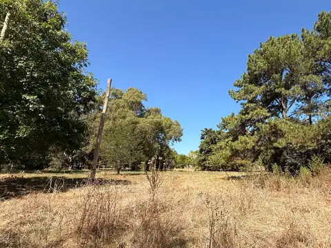Lotes en venta Manzana 89, Parque Las Naciones, Guernica