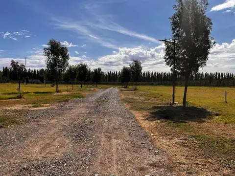 Barrio La Colonia, lote F01
