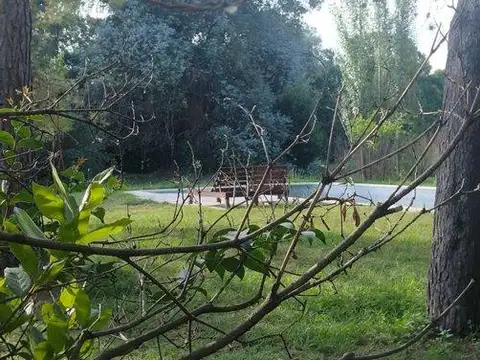 Quinta en Venta 4 Ambientes en Mercedes