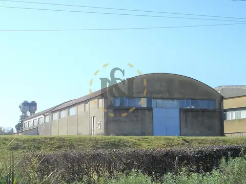 ALQUILER GALPON RUTA 8 , prox CANELONES