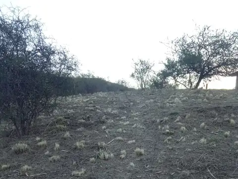 Terreno en Venta de 594,0 m2