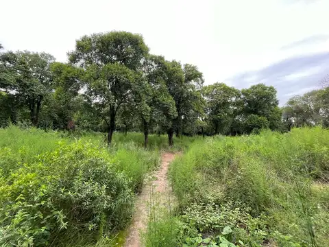 Cjal. Sergio Bossio S/n