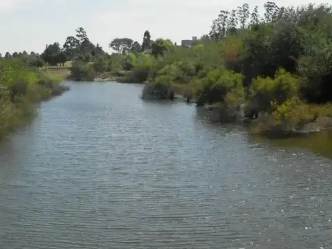 Fondo Comercio en Venta 40 años