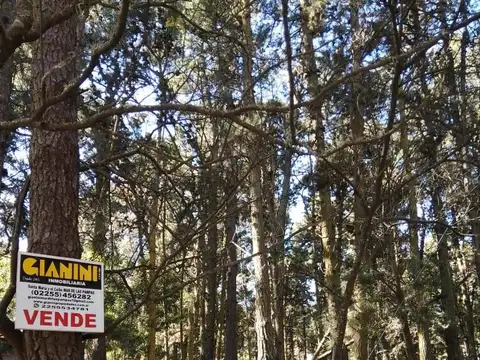 Terreno - Venta - Argentina, Mar de las Pampas