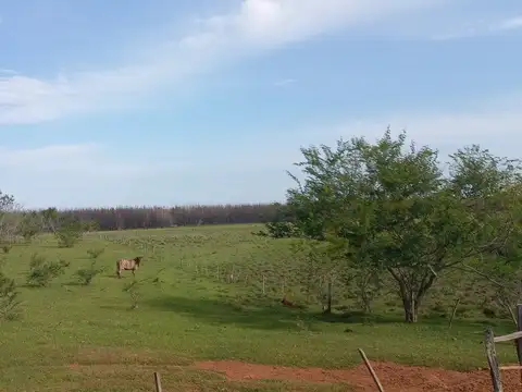 Campo Se Vende, De 214 Has. Zona Gdor. Virasoro - Corrientes