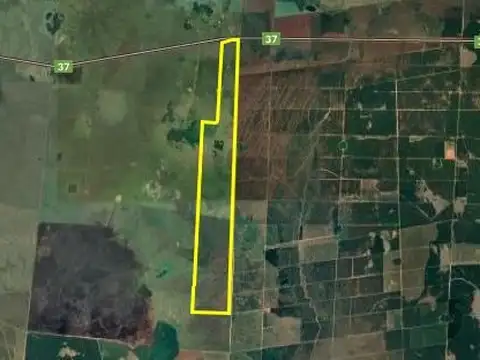 Campo Se Vende, De 214 Has. Zona Gdor. Virasoro - Corrientes