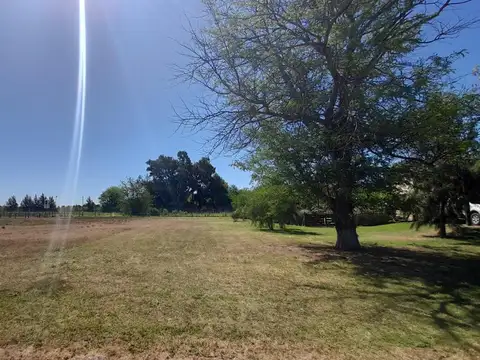 Terreno en Venta 40  mts Frente