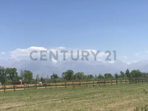 Terreno en Venta en Tunuyan, USD 45.000