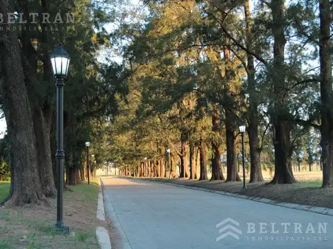 Terreno en Venta de 1186,0 m2