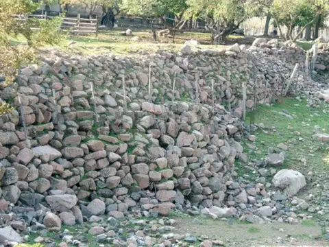 La crucesita , Piso 0