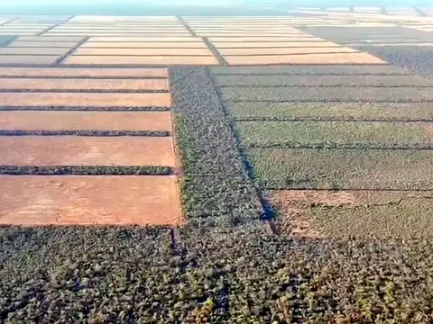 Campo en Oran, Pcia de Salta - 11.800 has en VENTA