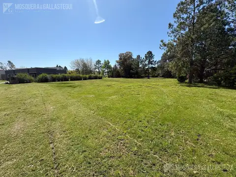 Terreno en Venta de 1650,0 m2