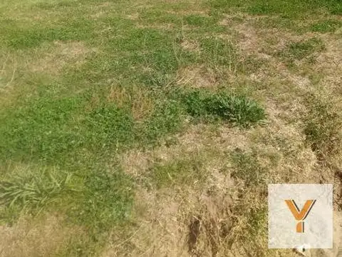 Terreno en venta - 995Mts2 - Quequen