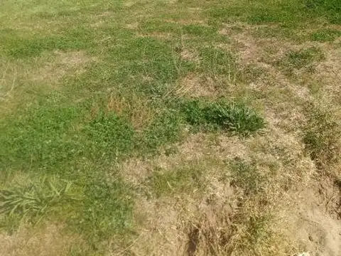 Terreno en venta - 995Mts2 - Quequen