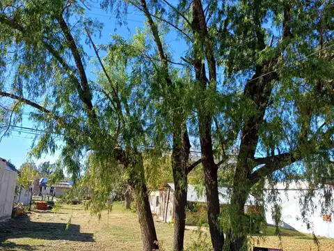 Terreno en Venta 42  mts Frente