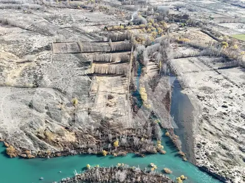 VENTA Chacra de 25,69ha en Isla 111, Senillosa