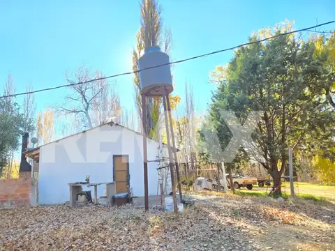 Lote 11-B, Isla 111, Senillosa