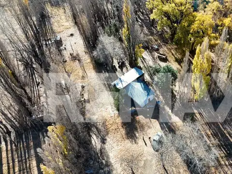 VENTA Chacra de 25,69ha en Isla 111, Senillosa